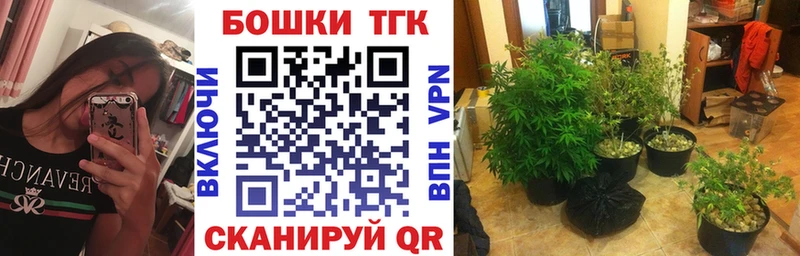 Купить  Кимовск  Бошки Шишки Amnesia 